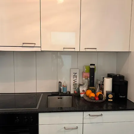 Zuerich Appartement * チューリッヒ