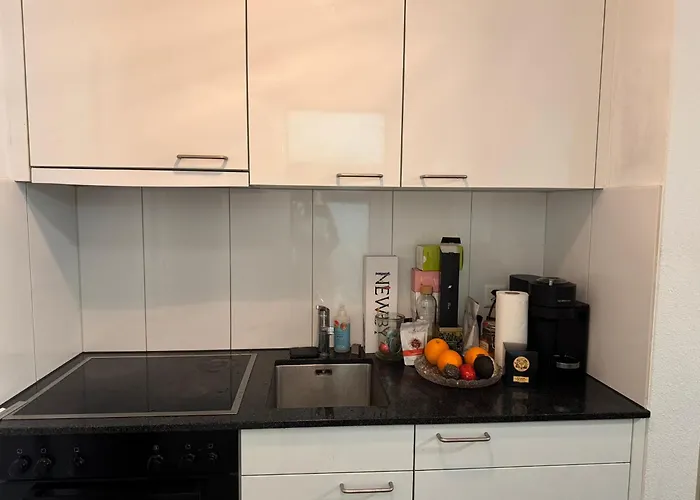 Zuerich Appartement * ציריך